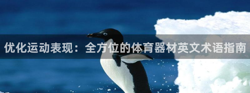 富联申购哪天上市交易：优化运动表现：全方位的体育器材