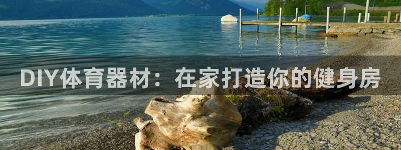 富联芯科技：DIY体育器材：在家打造你的健身房
