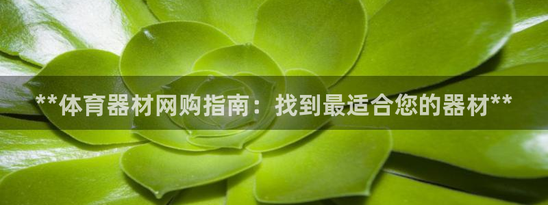 富联官方网站首页入口：**体育器材网购指南：找到最适