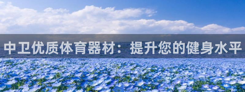 富联娱乐代 41IO31 娱乐：中卫优质体育器材：提
