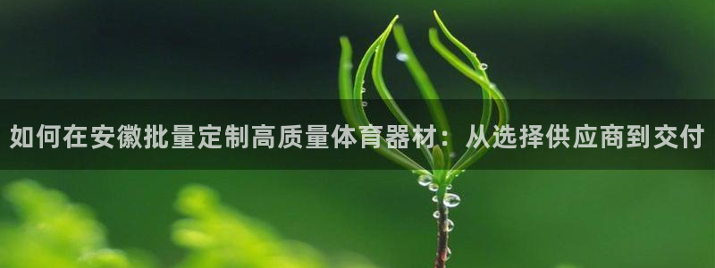 富联娱乐测速：如何在安徽批量定制高质量体育器材：从选