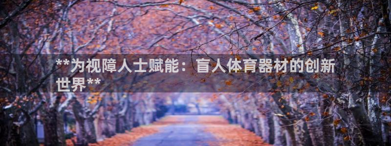 富联娱乐会员账号注销：**为视障人士赋能：盲人体育器