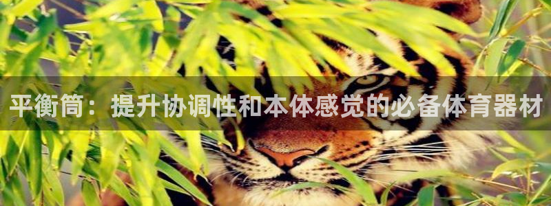 富联平台人 5O6917 富联：平衡筒：提升协调性和