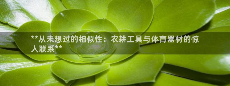 富联官方网站：**从未想过的相似性：农耕工具与体育器