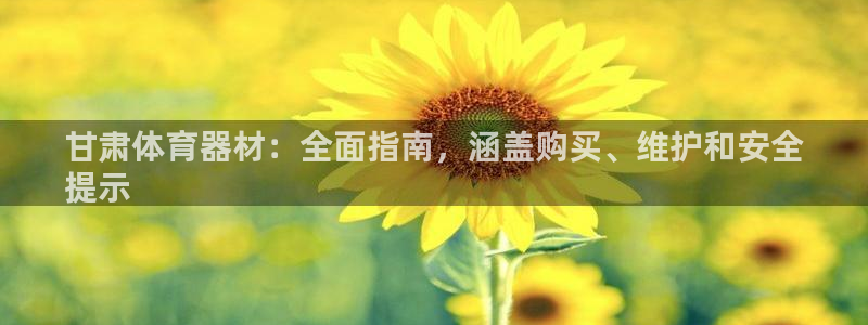 富联娱乐服务站地址：甘肃体育器材：全面指南，涵盖购买