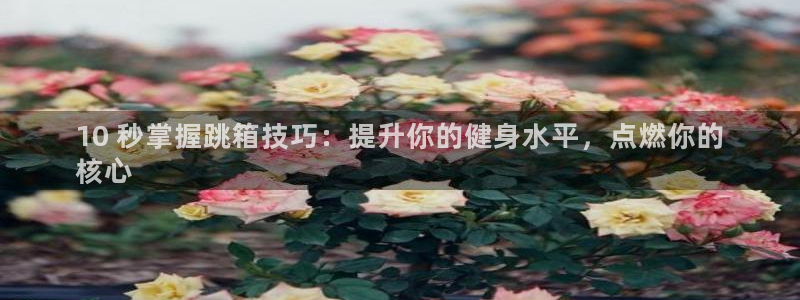 富联申购上市价格预测：10 秒掌握跳箱技巧：提升你的