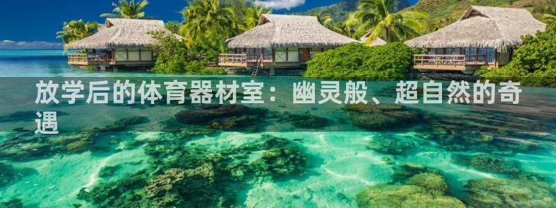 富联股份股票怎么样：放学后的体育器材室：幽灵般、超自