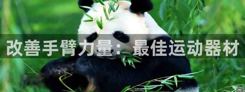 富联娱乐优 411o31 富联：改善手臂力量：最佳运
