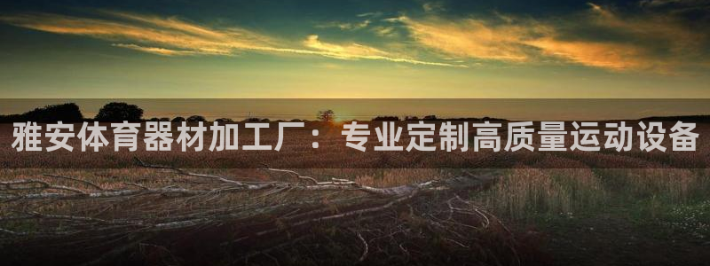 富联平台官网登录：雅安体育器材加工厂：专业定制高质量