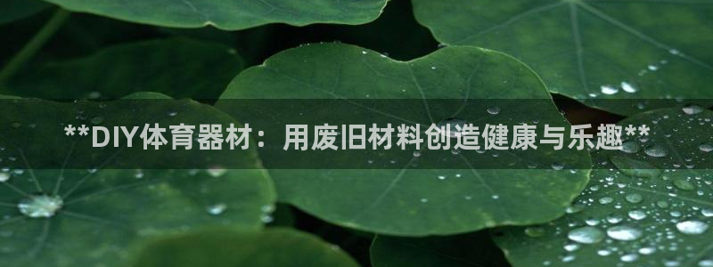 富联平台登录：**DIY体育器材：用废旧材料创造健康