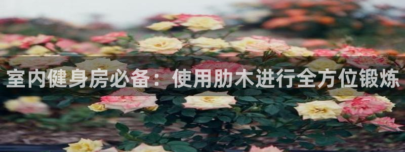 富联娱乐代 41IO31 娱乐：室内健身房必备：使用