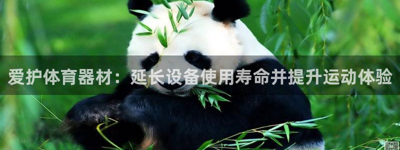 富联平台城7O777：爱护体育器材：延长设备使用寿命