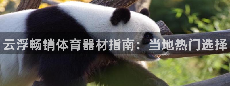 富联娱乐登录注册入口官网下载安装：云浮畅销体育器材指