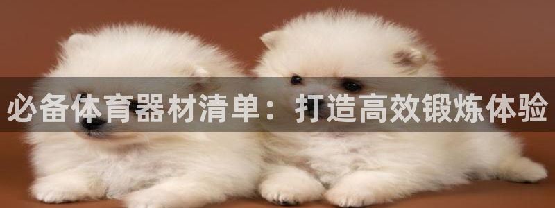 杭州富联科技：必备体育器材清单：打造高效锻炼体验