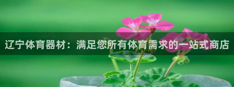 富联娱乐平台开户条件要求：辽宁体育器材：满足您所有体