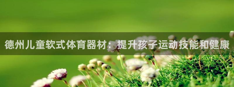 富联官方网站入口下载安卓：德州儿童软式体育器材：提升