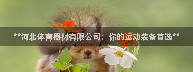 富联平台官网下载：**河北体育器材有限公司：你的运动