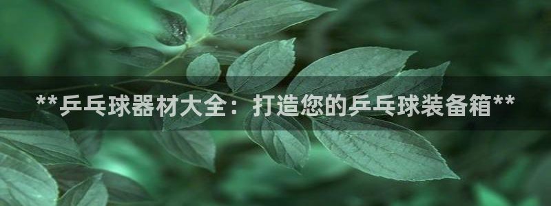 富联娱乐客户端app下载服务器错误：**乒乓球器材大