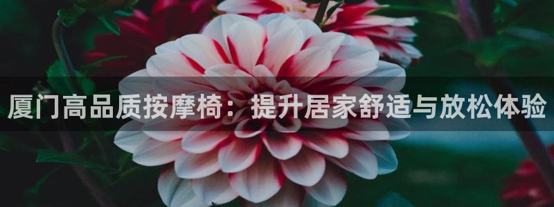 富联机械：厦门高品质按摩椅：提升居家舒适与放松体验