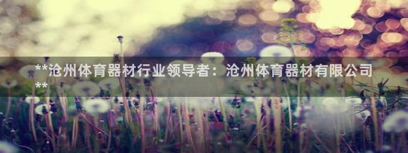 富联地产怎么样可靠吗：**沧州体育器材行业领导者：沧