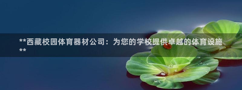 富联娱乐测速登录不了：**西藏校园体育器材公司：为您