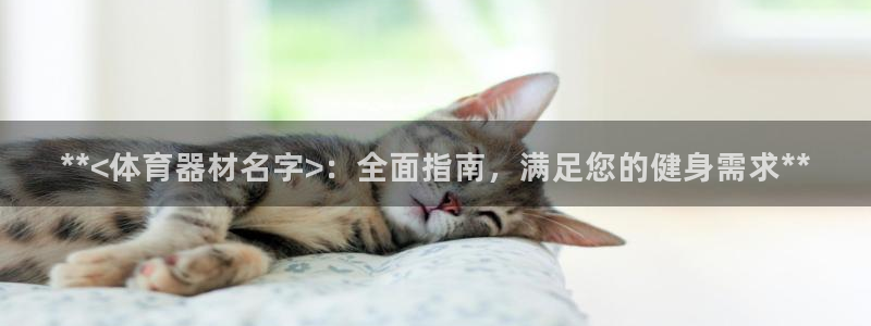富联官网代理系列：**<体育器材名字>：全面指南，满