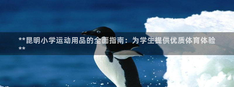 富联娱乐登录注册：**昆明小学运动用品的全面指南：为