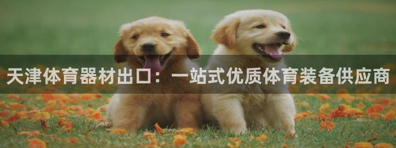富联娱乐服务站怎么样：天津体育器材出口：一站式优质体