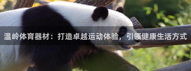 富联官网注册流程：温岭体育器材：打造卓越运动体验，引