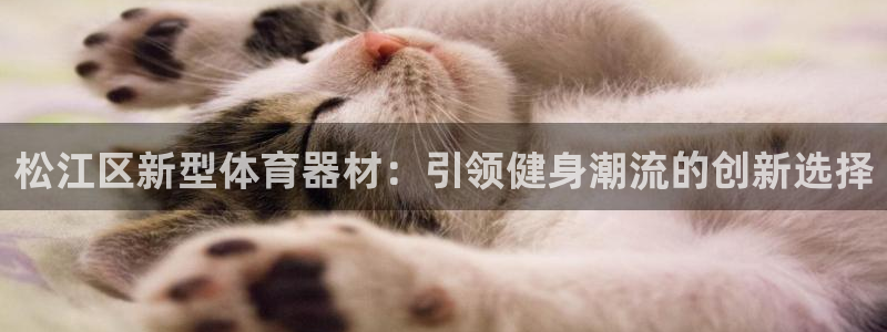 富联物业：松江区新型体育器材：引领健身潮流的创新选择