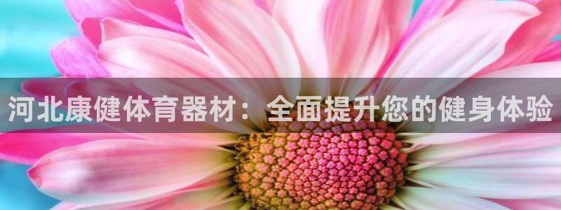 富联商标：河北康健体育器材：全面提升您的健身体验