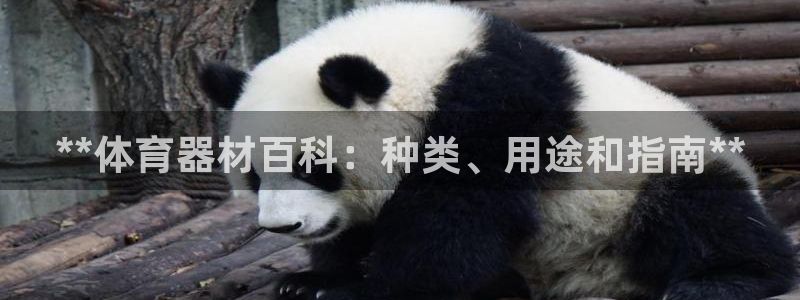 富联平台先选 58534I 富联：**体育器材百科：