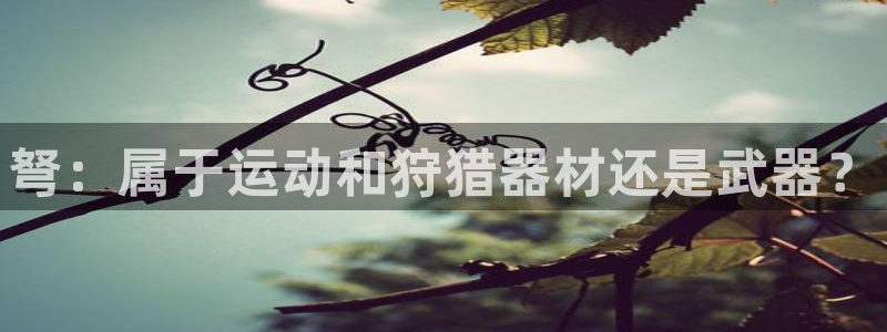 富联娱乐客户端app下载服务器错误：弩：属于运动和狩