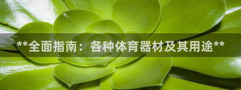 富联娱乐访问：**全面指南：各种体育器材及其用途**