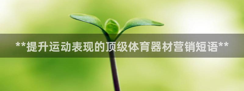 富联娱乐代 41IO31 娱乐：**提升运动表现的顶
