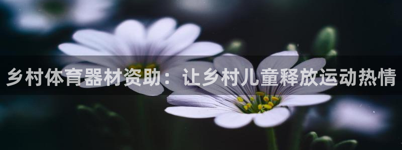 富联官网登录入口网址：乡村体育器材资助：让乡村儿童释