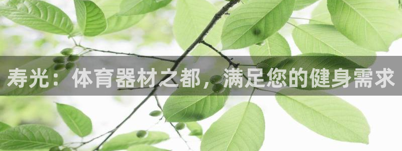 富联娱乐平台开户流程及时间：寿光：体育器材之都，满足