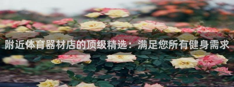 富联平台意 411o31 平台：附近体育器材店的顶级精选：满