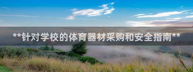 富联娱乐凡六七五一38：**针对学校的体育器材采购和