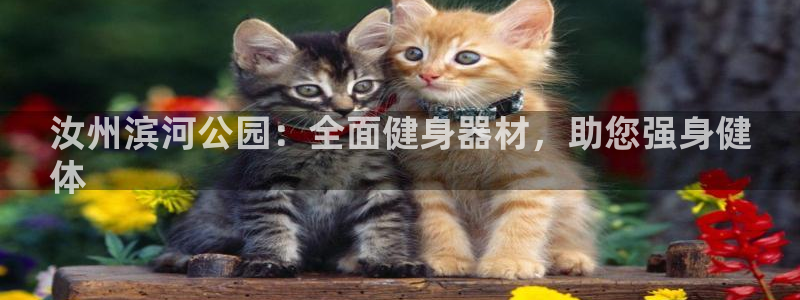 富联平台项7O777：汝州滨河公园：全面健身器材，助您强身健