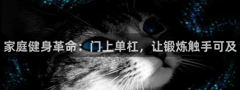 富联娱乐平台能挣到钱吗现在：家庭健身革命：门上单杠，