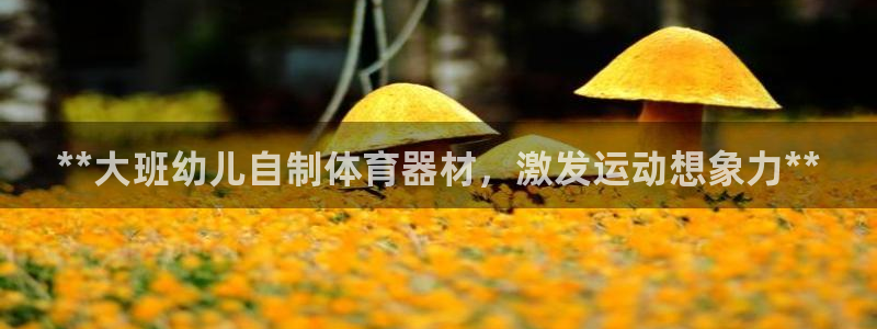 富联娱乐平台能挣到钱吗现在：**大班幼儿自制体育器材，激发运