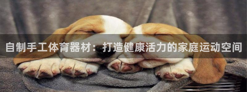 富联公寓租房怎么样：自制手工体育器材：打造健康活力的