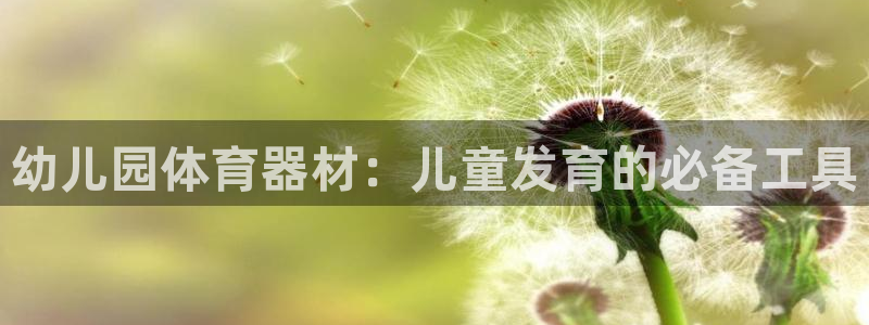 富联娱乐官方网站首页入口：幼儿园体育器材：儿童发育的必备工具
