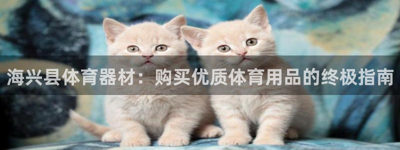 富联平台官网登录：海兴县体育器材：购买优质体育用品的
