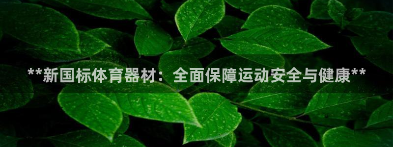 富联什么意思：**新国标体育器材：全面保障运动安全与