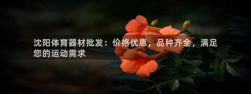 富联娱乐负责人名单：沈阳体育器材批发：价格优惠，品种