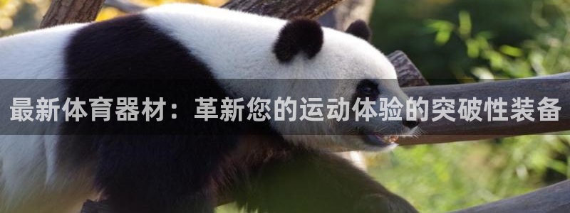 富联娱乐登录注册：最新体育器材：革新您的运动体验的突