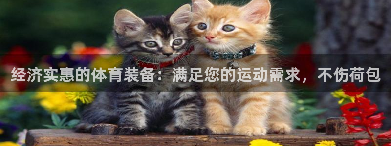 富联平台q665.786：经济实惠的体育装备：满足您