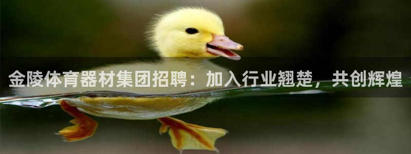 富联平台认可 585.34I 富联：金陵体育器材集团